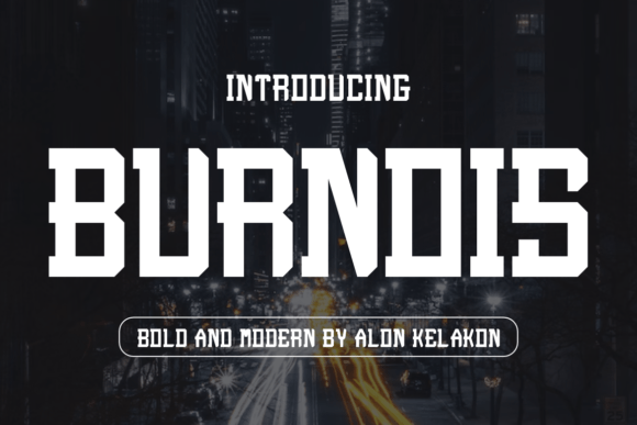 Burnois: The Bold Serif Font That Transformed My Brand Identity