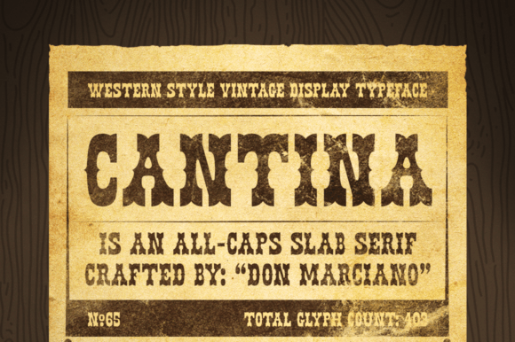 Cantina Slab Serif Typeface: A Bold Display Font for Digital Branding