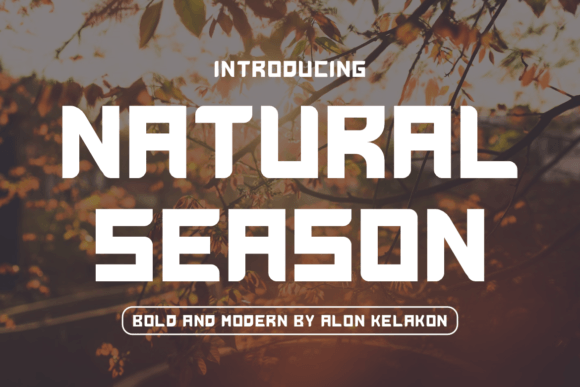 Natural Season: The Bold Sans Serif Font for Handmade Brands