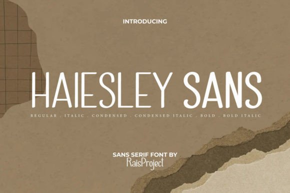 Why Haiesley Sans Became My Go-To Typeface for Modern Web Layouts